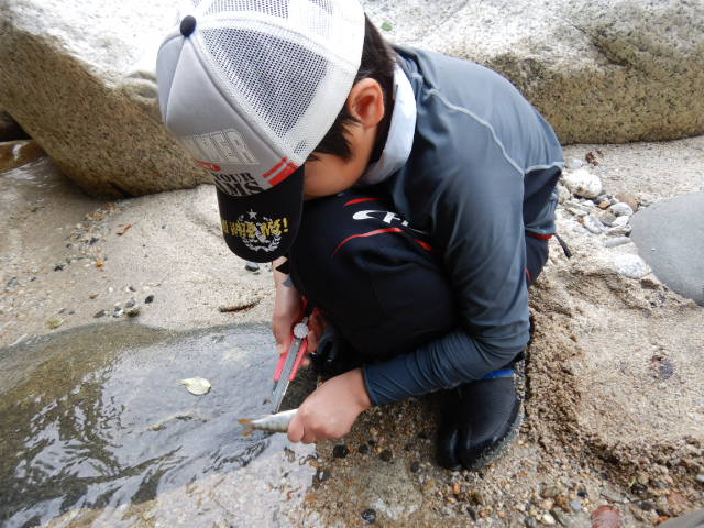 f:id:koxtupesama:20210807203648j:plain