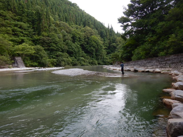 f:id:koxtupesama:20210807203749j:plain