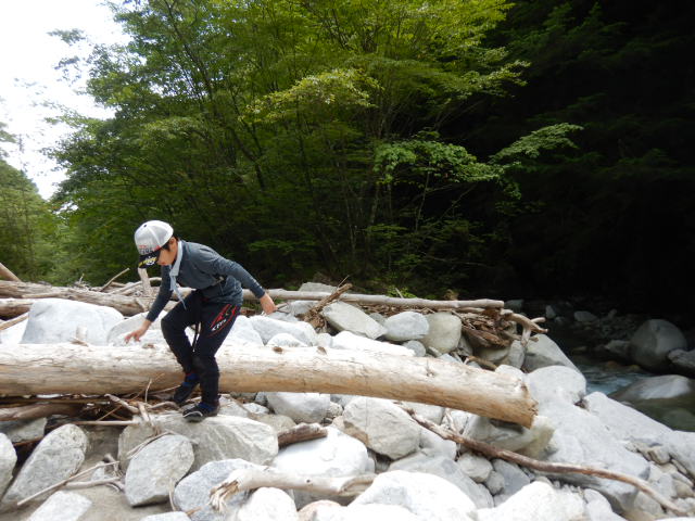 f:id:koxtupesama:20210807213619j:plain