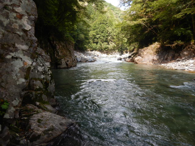 f:id:koxtupesama:20210917193804j:plain