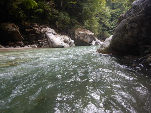 f:id:koxtupesama:20210917193820j:plain