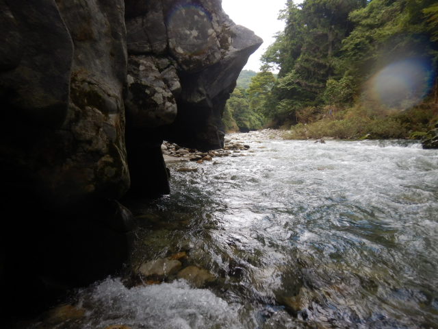 f:id:koxtupesama:20210917193828j:plain