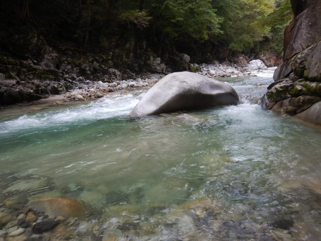 f:id:koxtupesama:20210917193843j:plain