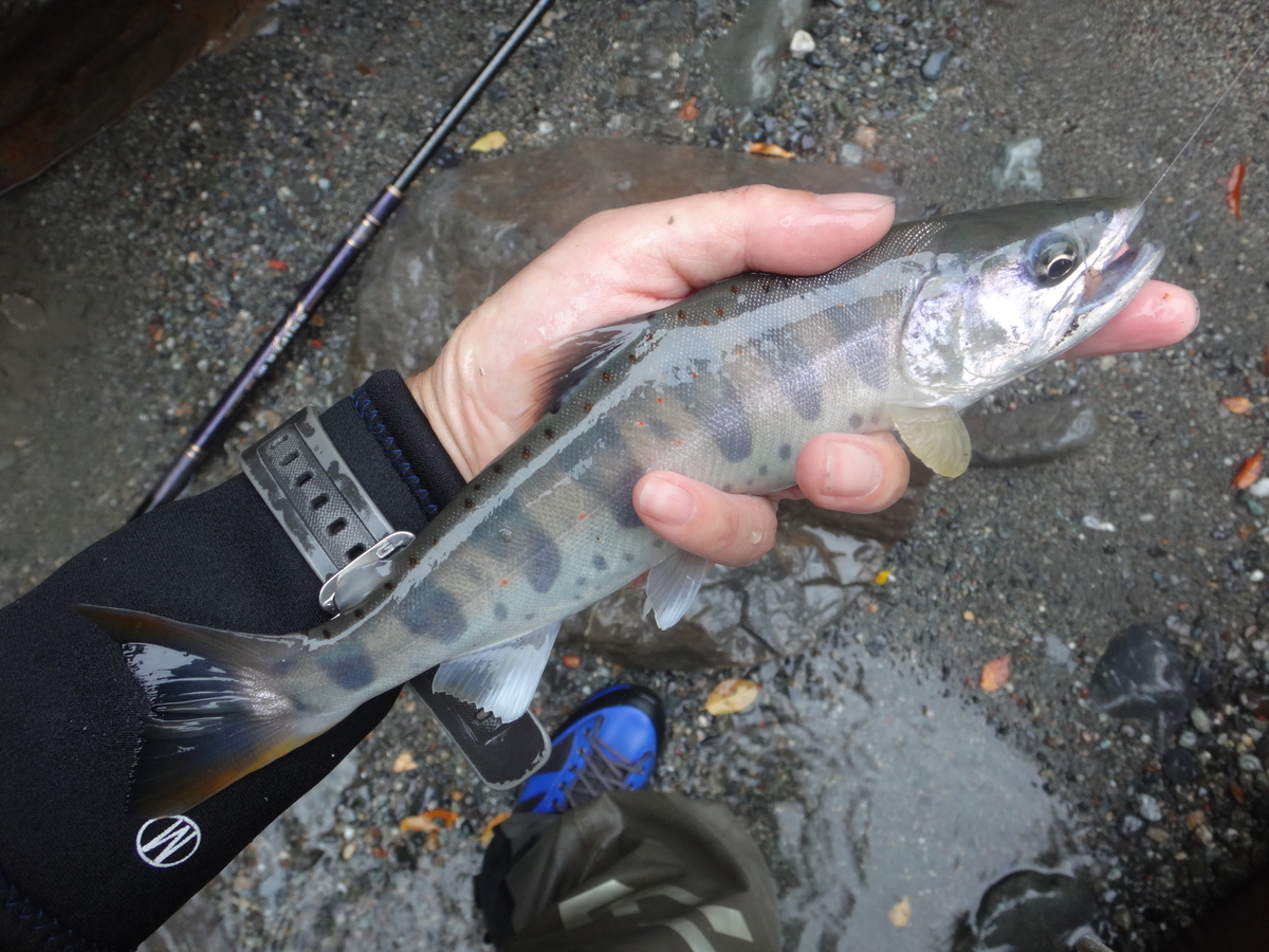 f:id:koxtupesama:20210930211027j:plain