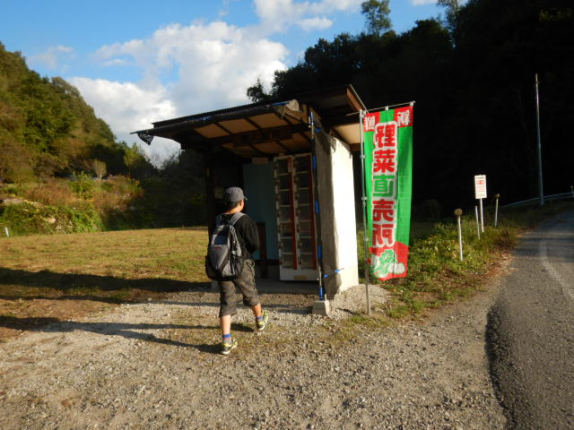 f:id:koxtupesama:20211011212424j:plain