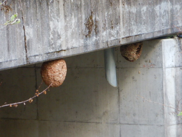 f:id:koxtupesama:20211113073923j:plain