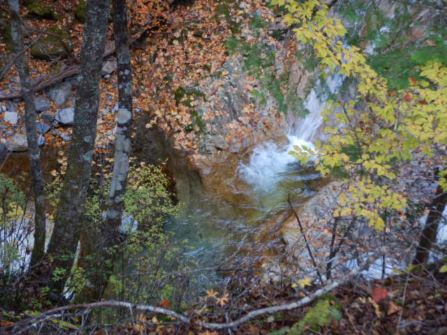 f:id:koxtupesama:20211113074103j:plain