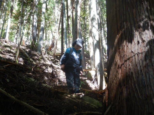 f:id:koxtupesama:20211121090247j:plain