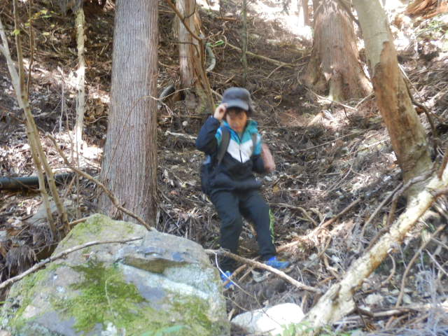 f:id:koxtupesama:20211121090250j:plain