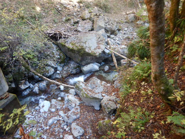 f:id:koxtupesama:20211121090257j:plain