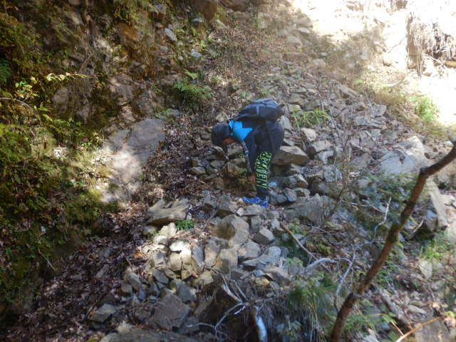 f:id:koxtupesama:20211121090259j:plain