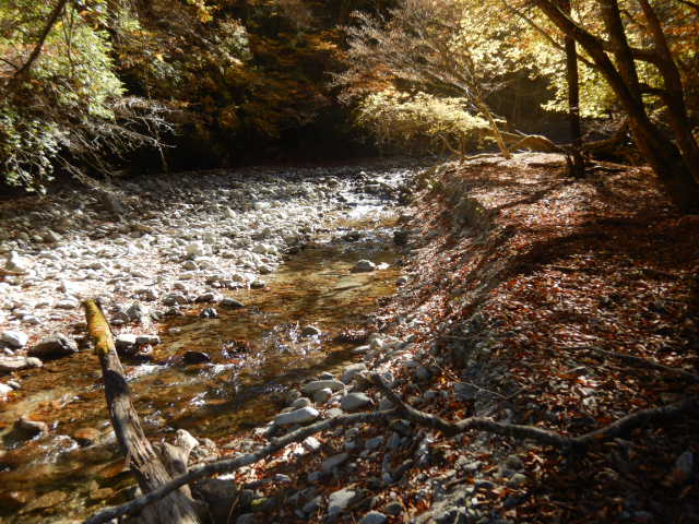 f:id:koxtupesama:20211121090304j:plain