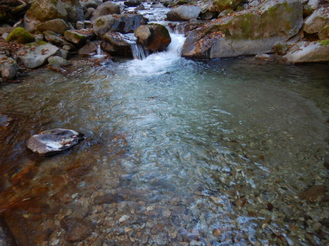 f:id:koxtupesama:20211121090352j:plain