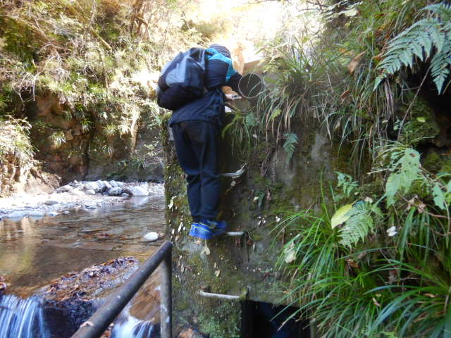 f:id:koxtupesama:20211121090359j:plain