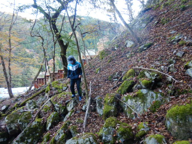 f:id:koxtupesama:20211121090500j:plain