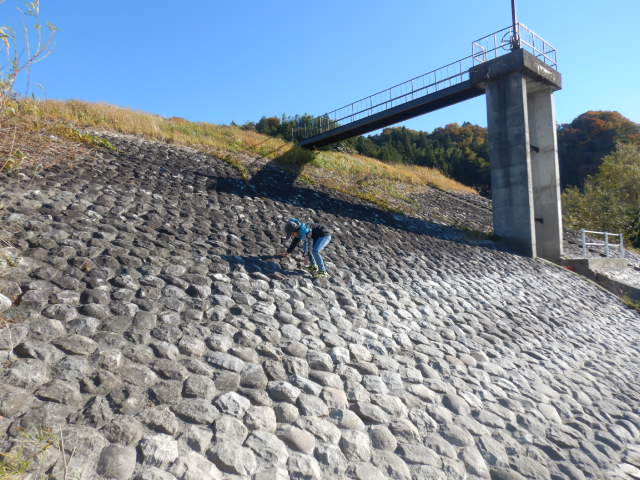 f:id:koxtupesama:20211121153114j:plain