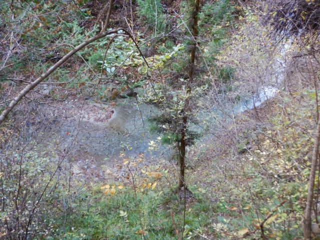 f:id:koxtupesama:20211121153205j:plain