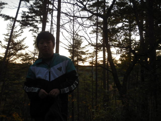 f:id:koxtupesama:20211121153217j:plain