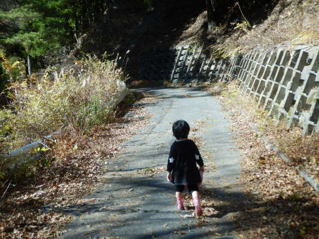 f:id:koxtupesama:20211123171545j:plain