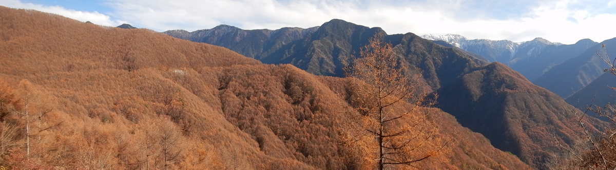 f:id:koxtupesama:20211123171605j:plain