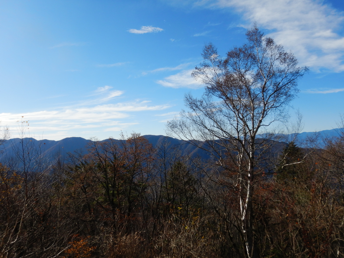 f:id:koxtupesama:20211123171613j:plain