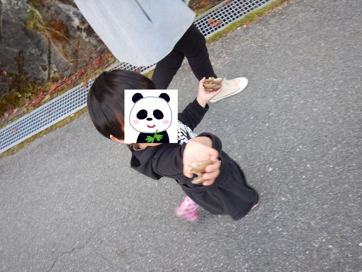 f:id:koxtupesama:20211123174757j:plain