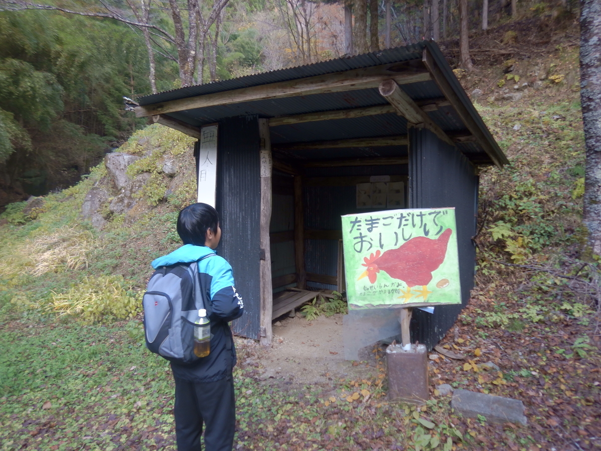 f:id:koxtupesama:20211123181906j:plain