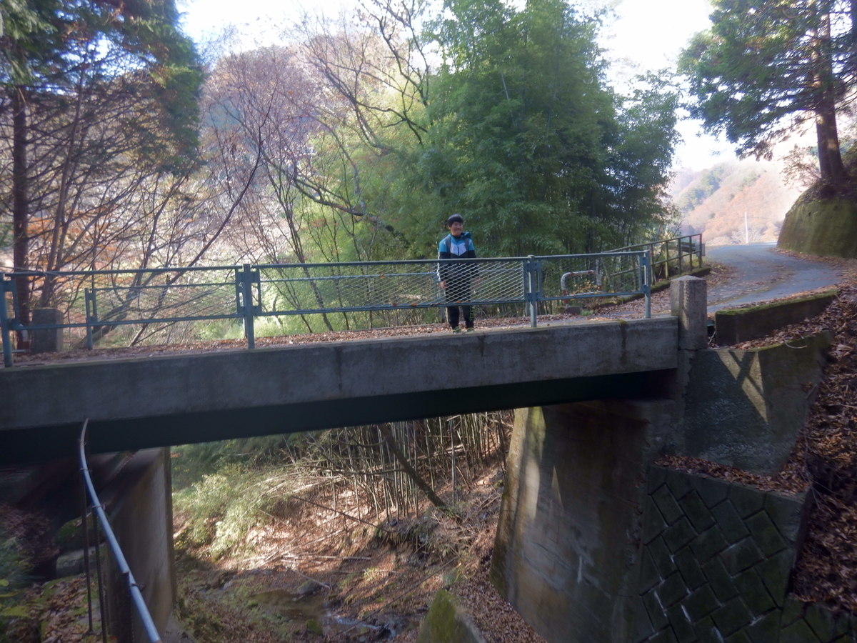 f:id:koxtupesama:20211123181914j:plain