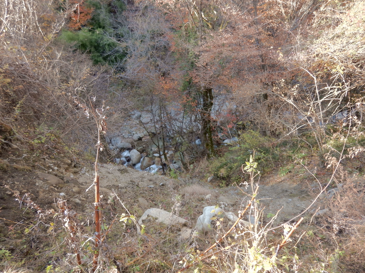 f:id:koxtupesama:20211123181920j:plain