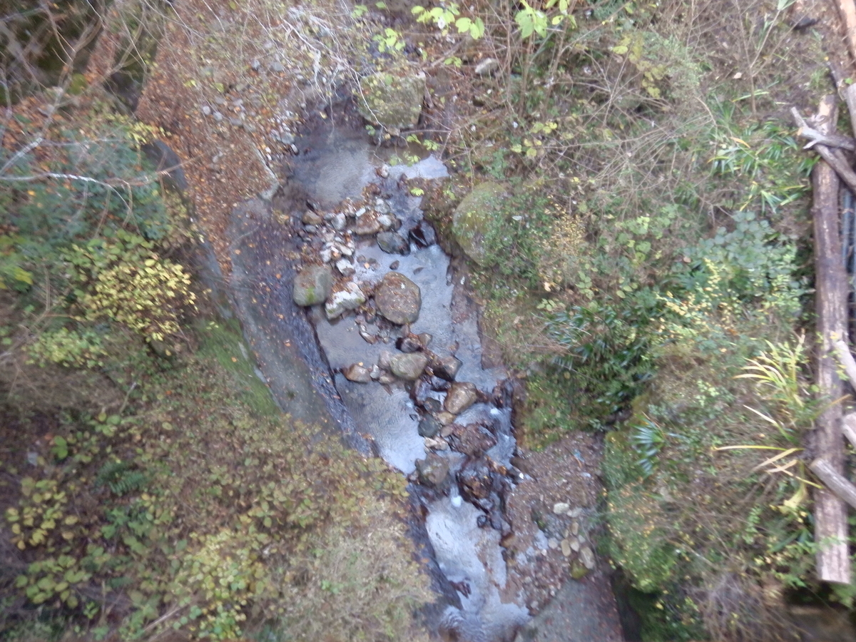 f:id:koxtupesama:20211123181941j:plain