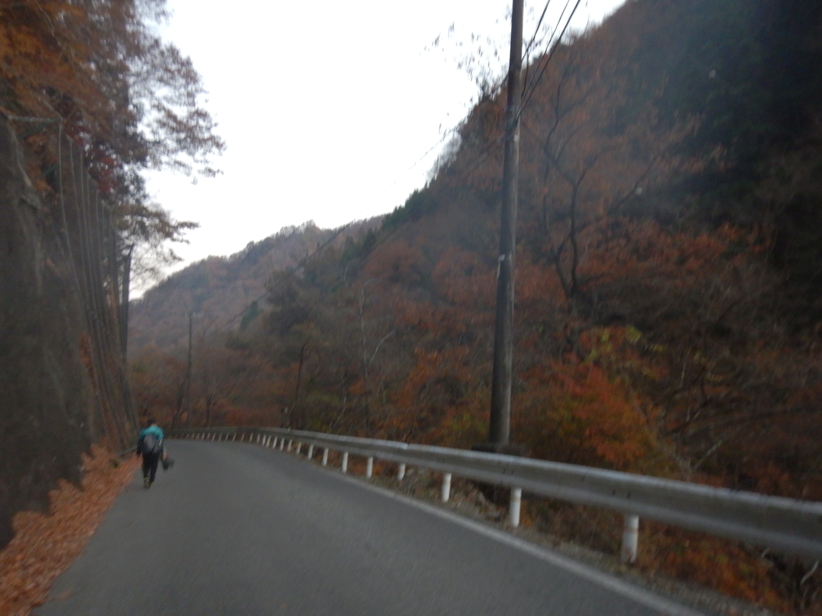 f:id:koxtupesama:20211123181945j:plain