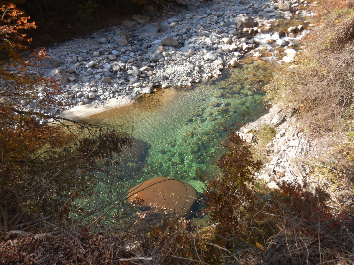 f:id:koxtupesama:20211123182525j:plain