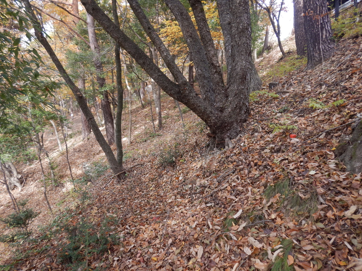 f:id:koxtupesama:20211123183646j:plain