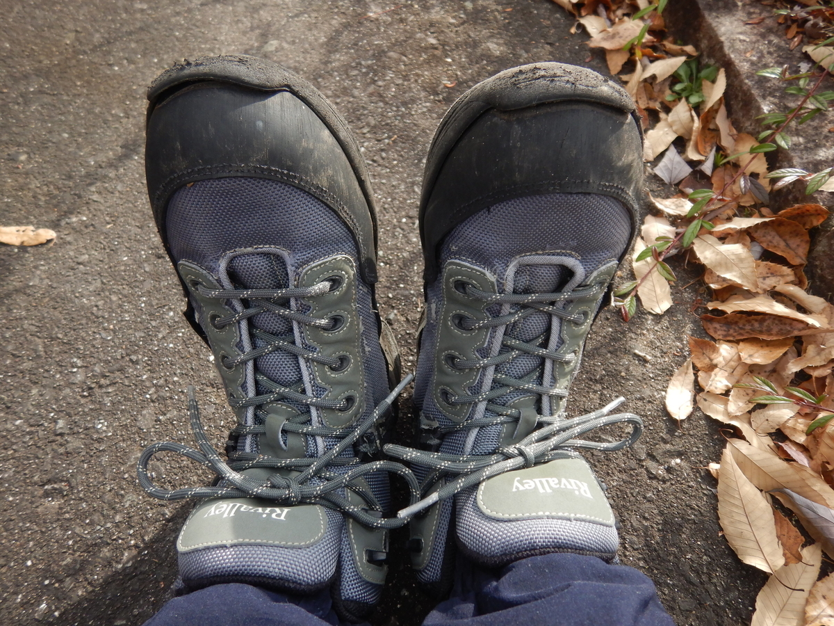 f:id:koxtupesama:20211123183650j:plain