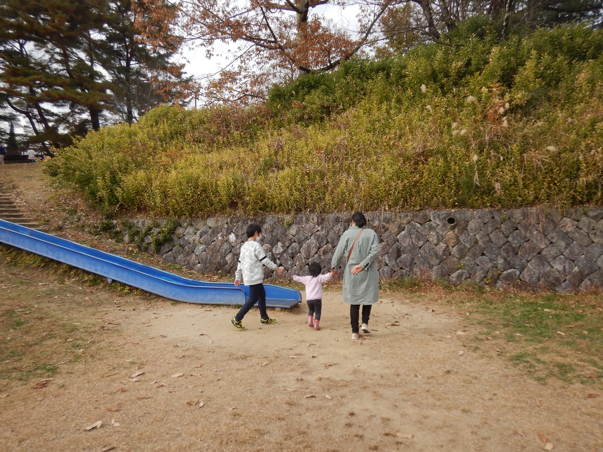 f:id:koxtupesama:20211123183657j:plain