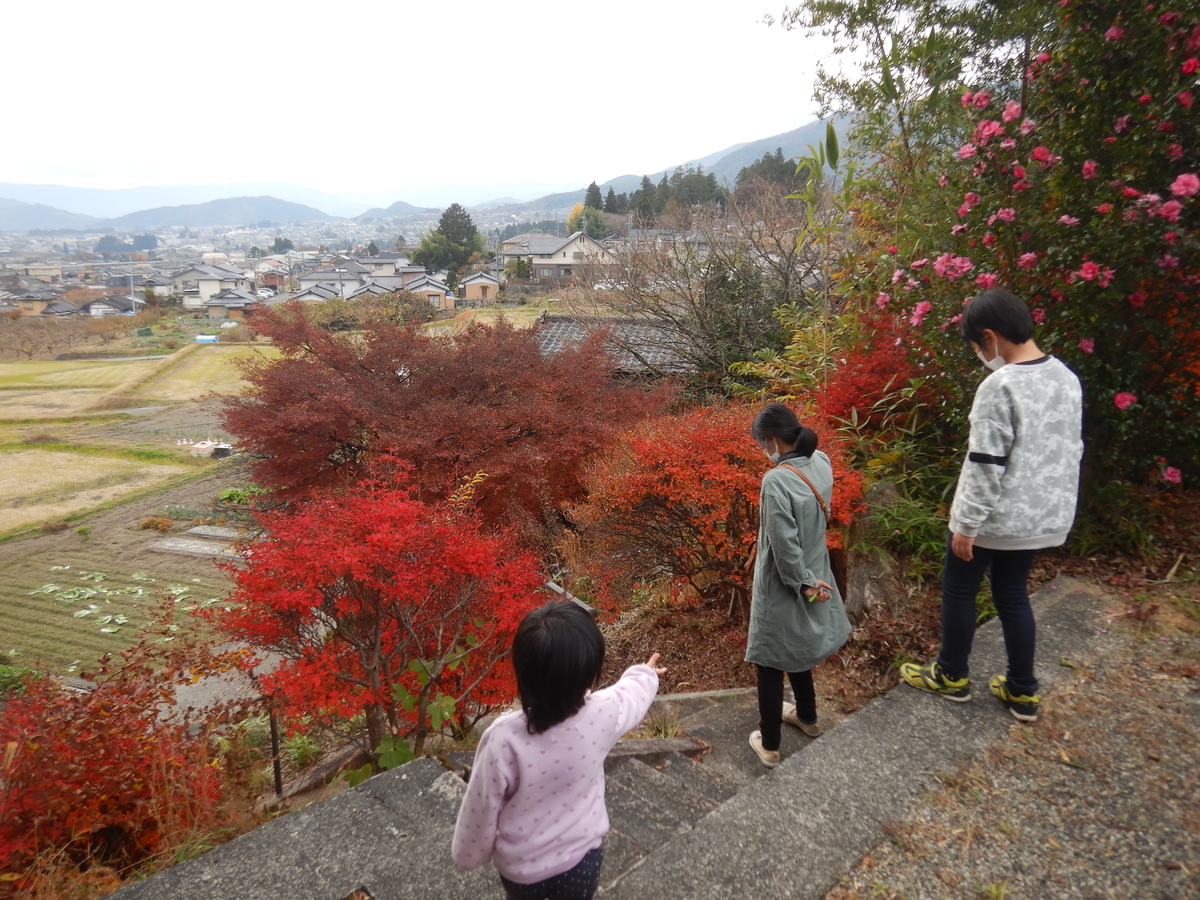 f:id:koxtupesama:20211123183705j:plain