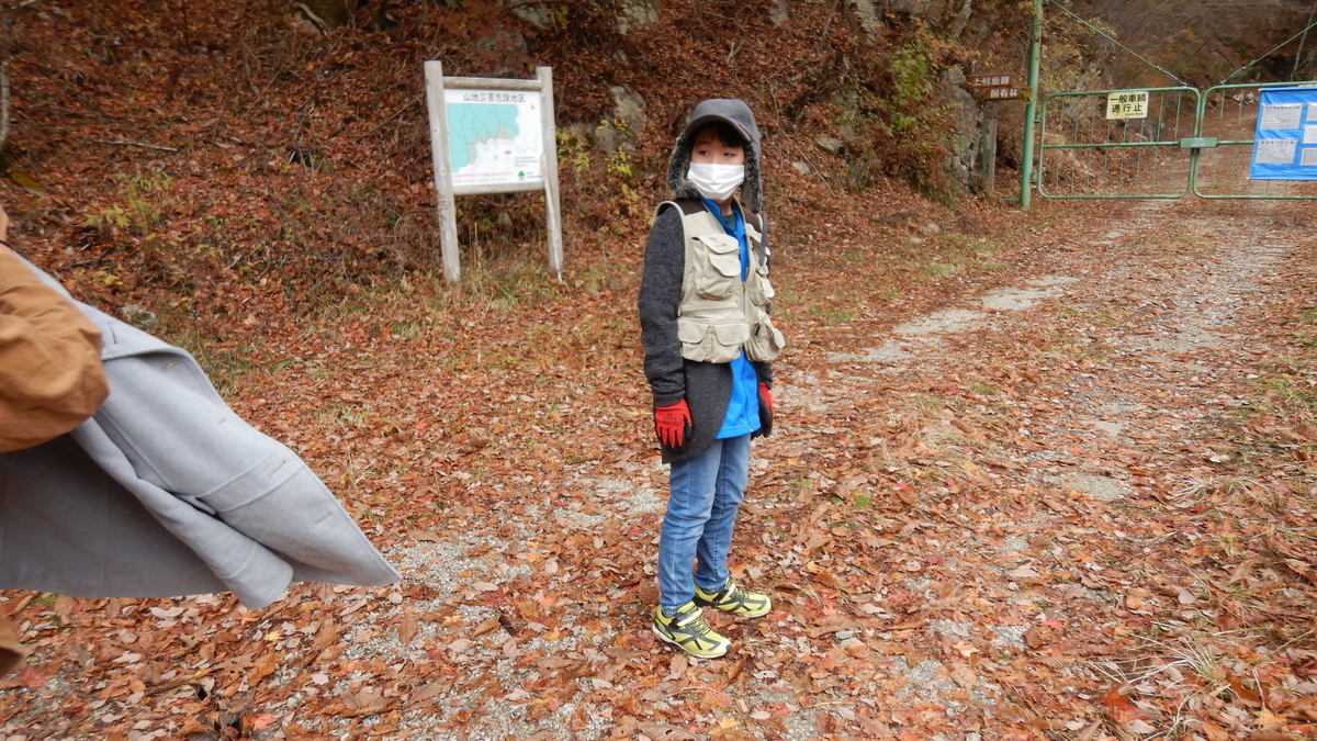 f:id:koxtupesama:20211123185551j:plain