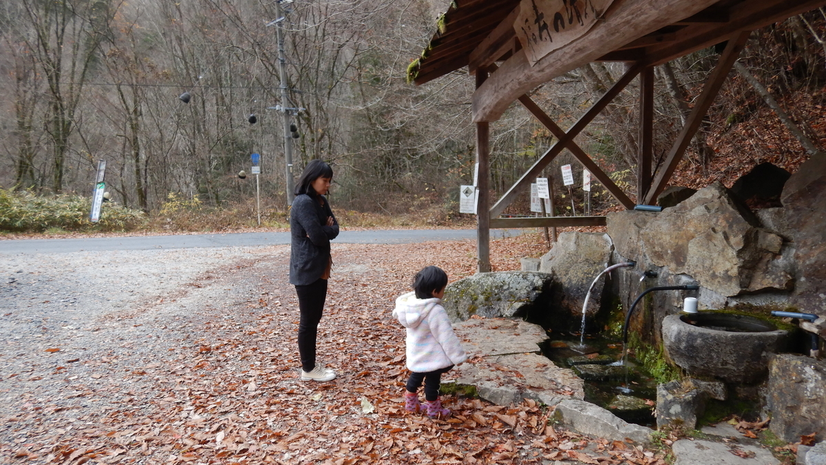 f:id:koxtupesama:20211123185558j:plain