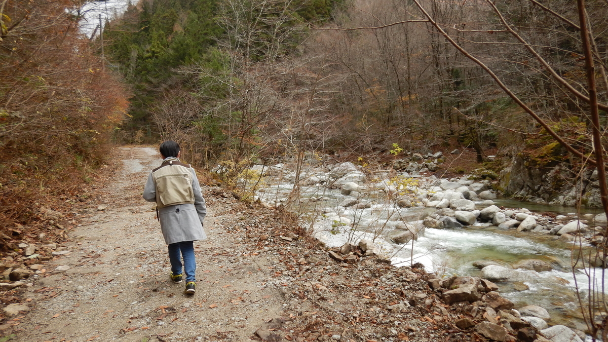 f:id:koxtupesama:20211123185604j:plain