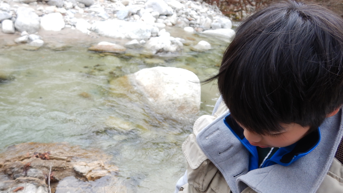 f:id:koxtupesama:20211123185625j:plain