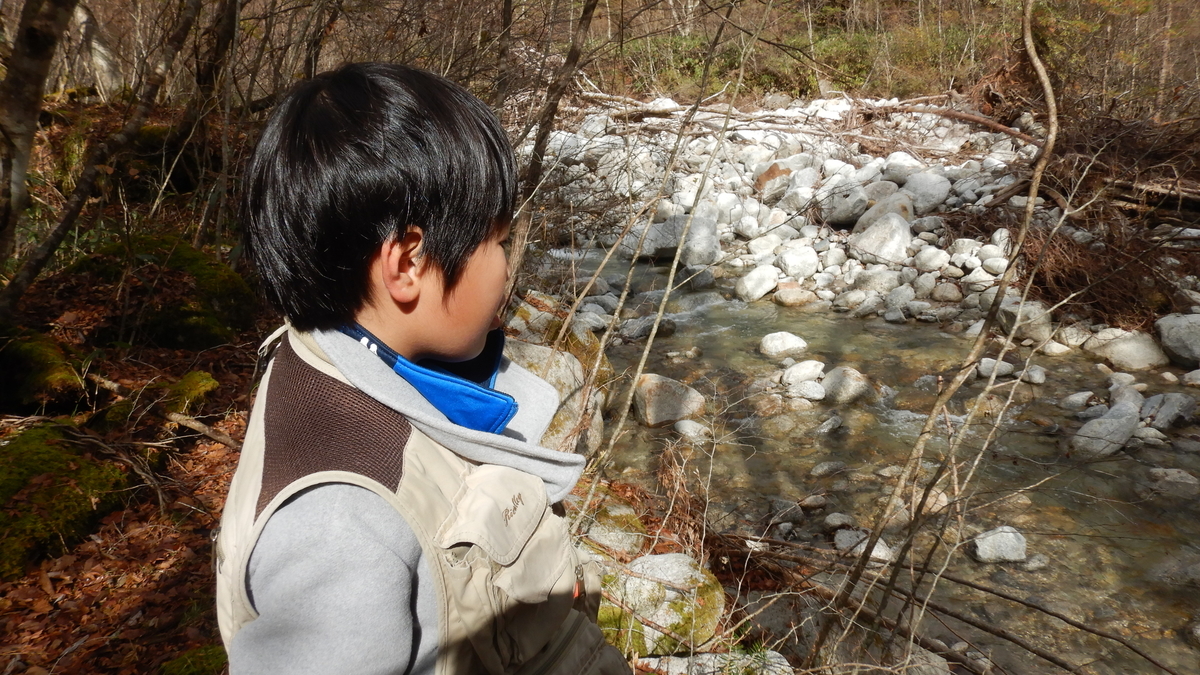 f:id:koxtupesama:20211123185630j:plain