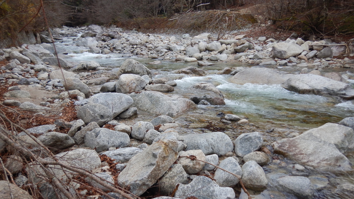 f:id:koxtupesama:20211123185703j:plain