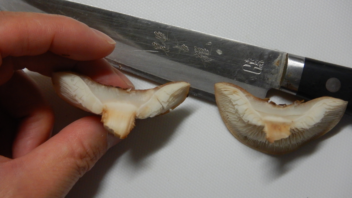 f:id:koxtupesama:20211123215406j:plain