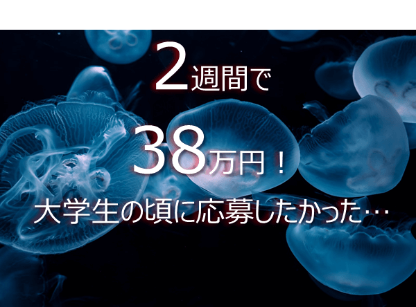 f:id:koya-0263:20161017215037p:plain f:id:koya-0263:20161017215037p:plain