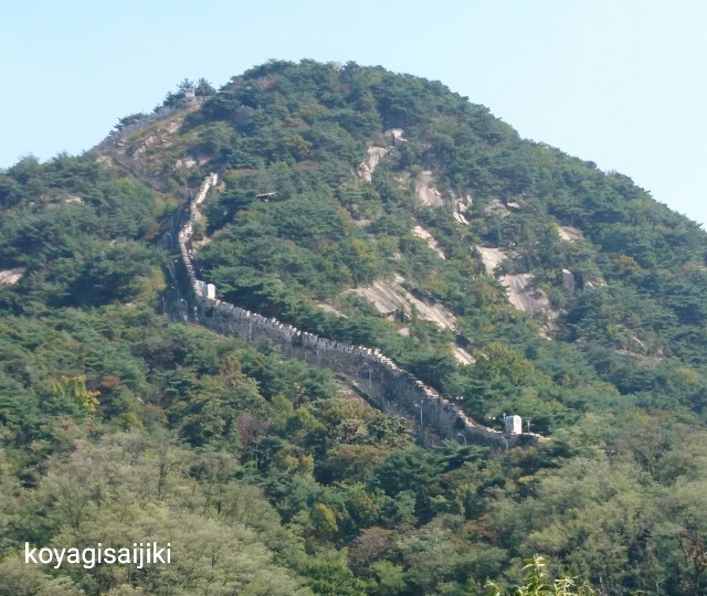 f:id:koyagi-saijiki:20190602234025j:image f:id:koyagi-saijiki:20190602234025j:image