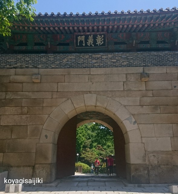 f:id:koyagi-saijiki:20190604182603j:image f:id:koyagi-saijiki:20190604182603j:image