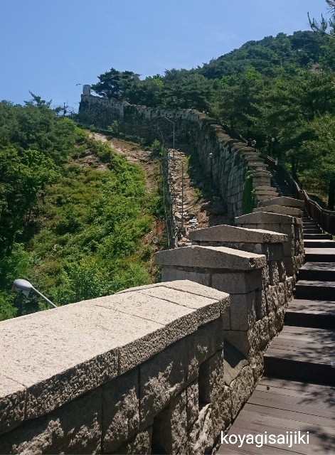 f:id:koyagi-saijiki:20190604182743j:image f:id:koyagi-saijiki:20190604182743j:image