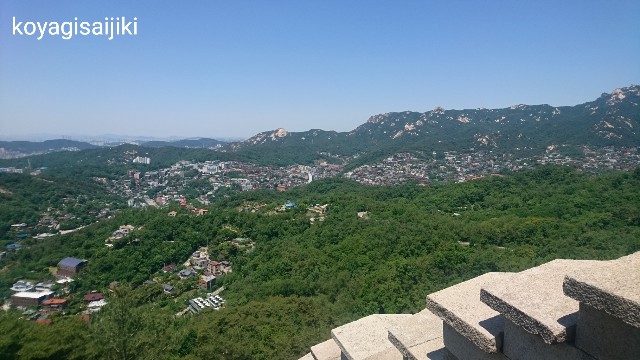 f:id:koyagi-saijiki:20190604183815j:image f:id:koyagi-saijiki:20190604183815j:image