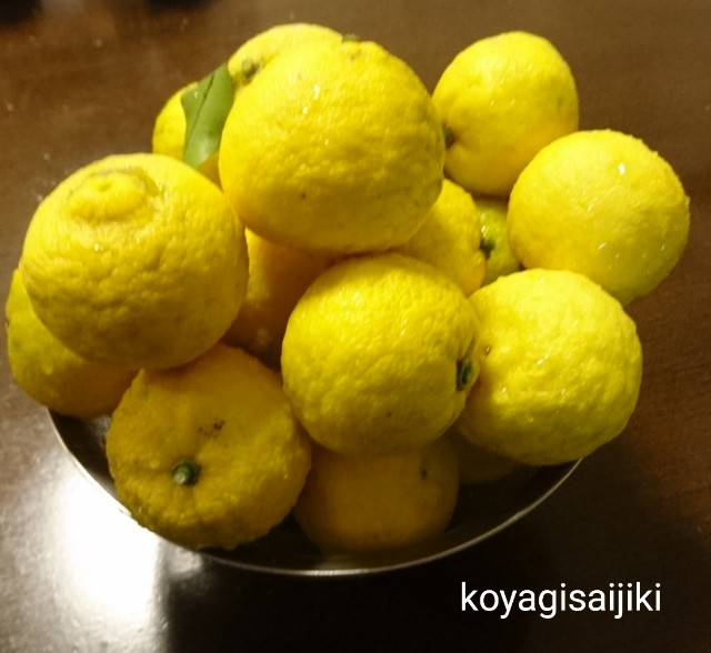 f:id:koyagi-saijiki:20191222132409j:image f:id:koyagi-saijiki:20191222132409j:image
