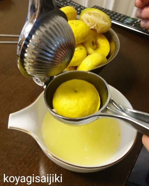f:id:koyagi-saijiki:20191222132424j:image f:id:koyagi-saijiki:20191222132424j:image